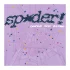 Sp5der Acai Hoodie Purple